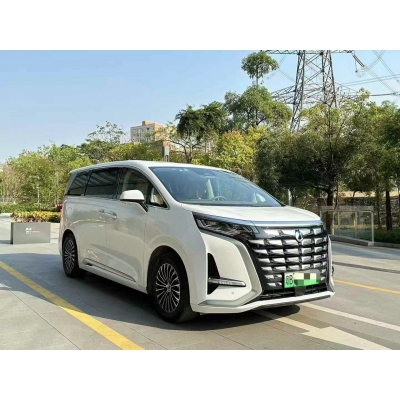 腾势D9 油电混合四驱 2023年上牌 抵押车 背户车 半价车 债权车 带牌永久使用